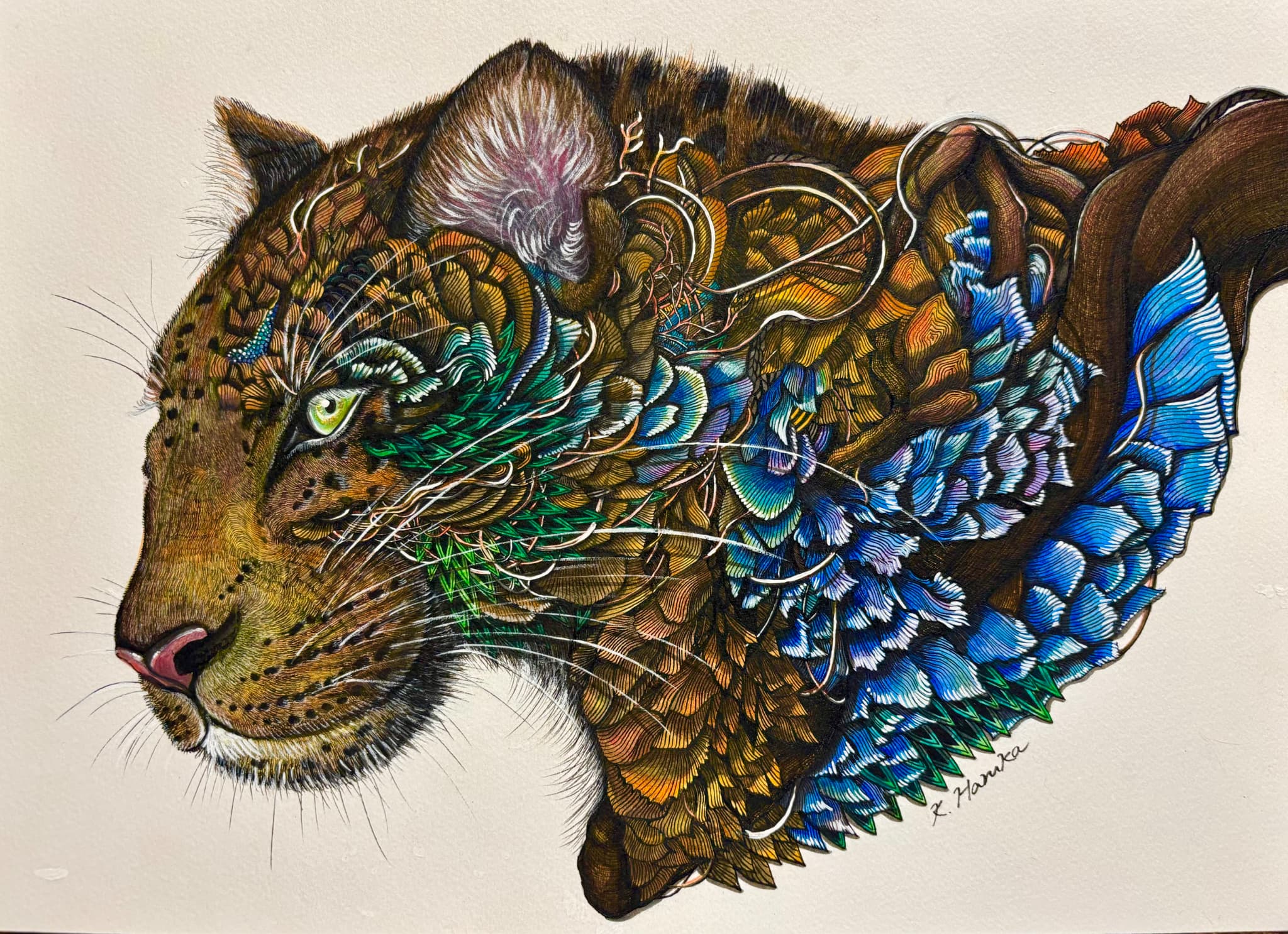 Kitamura Haruka 作品