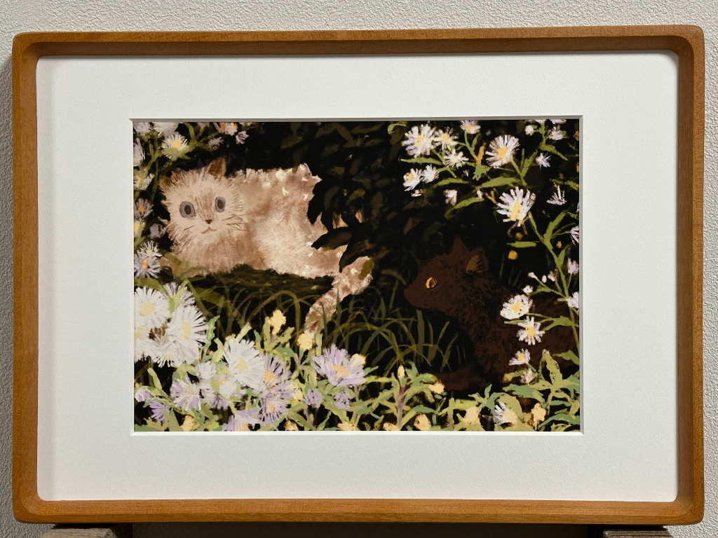 ヒメジョオンと待宵